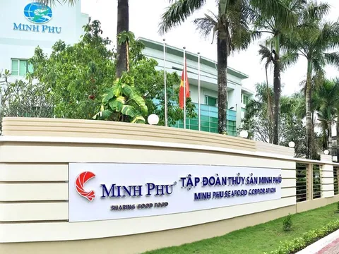 'Vua tôm' Minh Phú lỗ ròng kỷ lục trong quý I