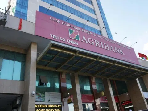 Agribank rao bán nhà máy turbine gió để thu hồi khoản nợ 1.600 tỷ đồng