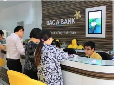 Thanh tra chỉ ra loạt vi phạm tại BacABank khi cấp tín dụng cho công ty “họ” TH