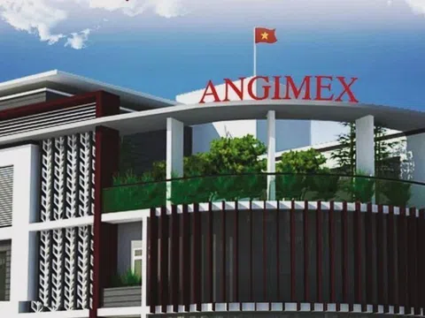 Angimex dự kiến phát hành cổ phiếu thưởng để bù lỗ, lên kế hoạch năm 2024 lãi 27 tỷ