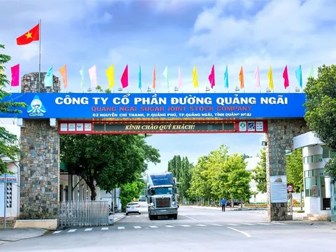 Đường Quảng Ngãi (QNS) muốn chia cổ tức năm 2023 với tổng tỷ lệ 40%