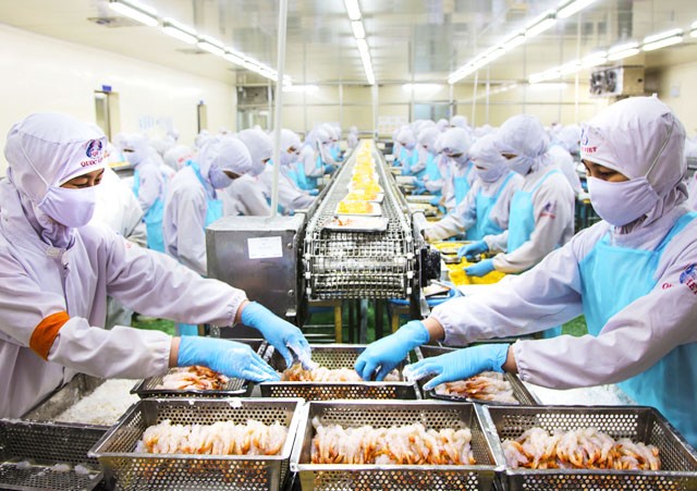 Thủy sản Việt Nam đặt mục tiêu xuất khẩu 14–16 tỷ USD mỗi năm đến 2030