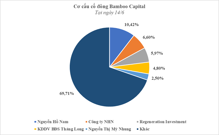 bamboo-capital-1718639183.png