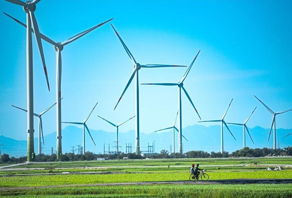 trung-nam-ninh-thuan-1754356080.jpeg