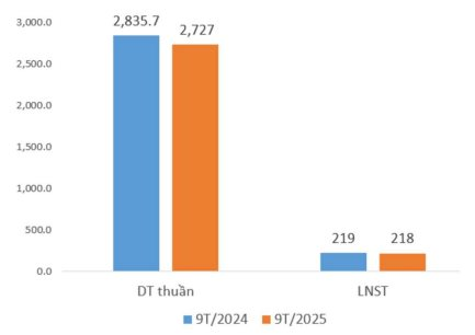det-may-thanh-cong-2-1760756130.png