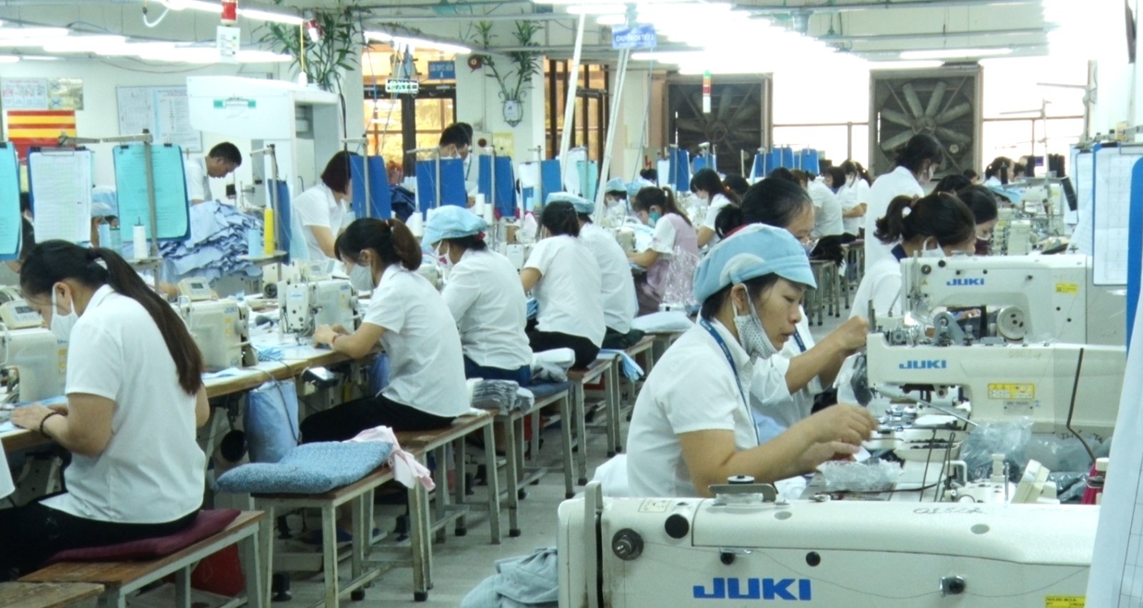 det-may-viet-nam-1761533069.jpg