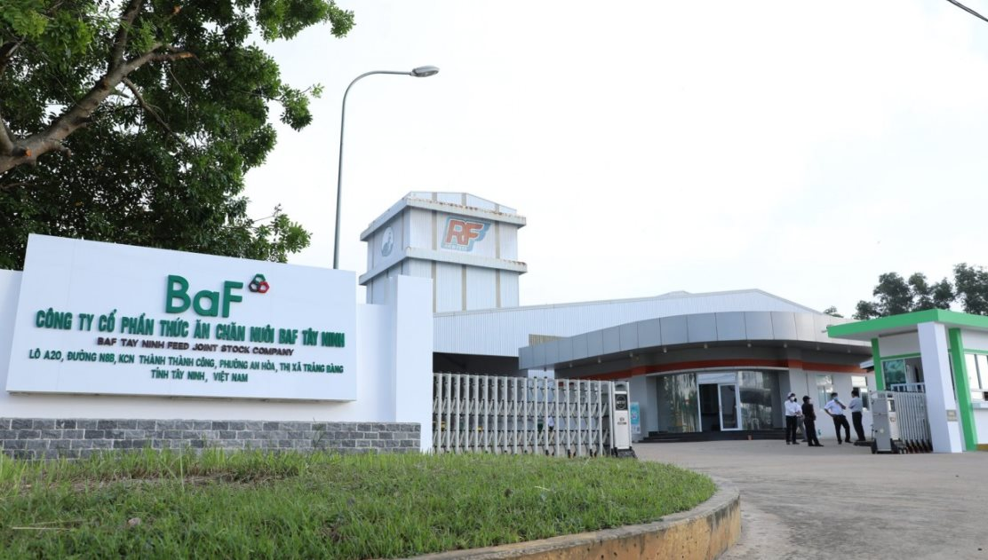 baf-viet-nam-1780987331.png