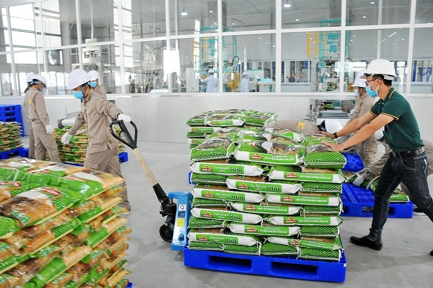 Vinaseed báo lãi quý II giảm hơn 30%, tồn kho vượt 1.000 tỷ đồng