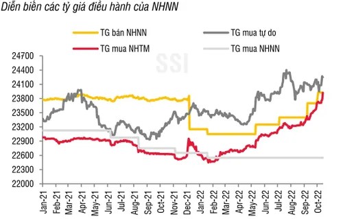 Giá đô la ngoài thị trường đã vượt mốc 25.000 đồng