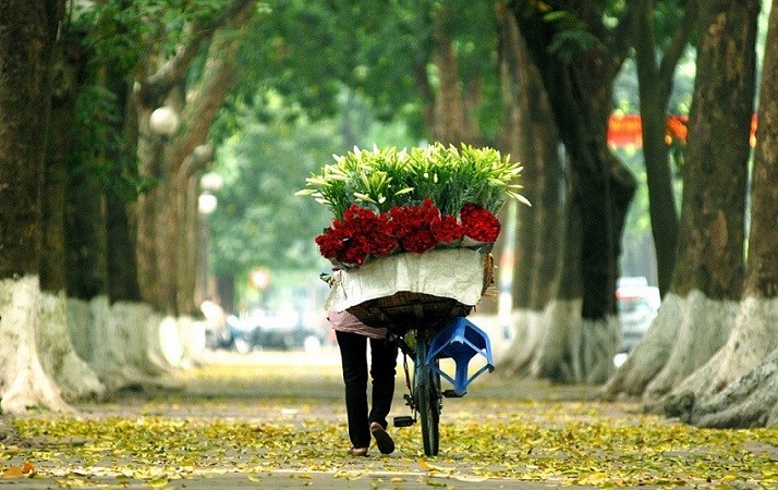Dự báo thời tiết ngày 15/12: Bắc Bộ nắng ấm trước khi đón không khí lạnh