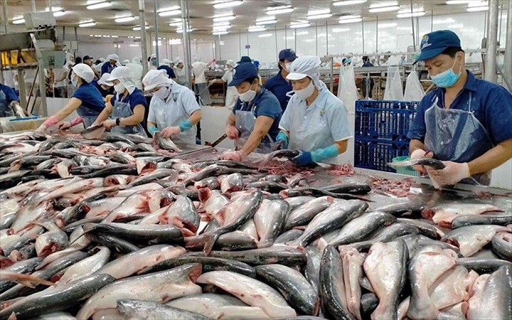 Dự báo doanh nghiệp xuất khẩu cá tra sẽ gặp khó trong nửa đầu năm 2023