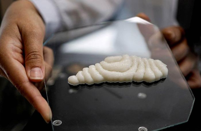 Độc lạ thịt cá tươi in 3D chuẩn bị ra mắt thị trường