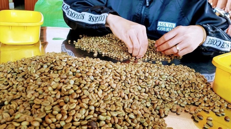Xuất khẩu cà phê vượt mốc 2 tỷ USD trong 5 tháng đầu năm