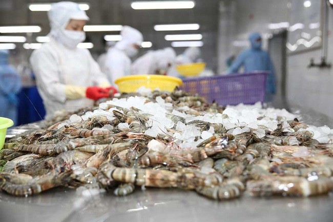 VASEP kiến nghị giảm lãi vay, giãn nợ 4 - 6 tháng cho doanh nghiệp thủy sản