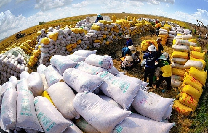 Philippines đã nhập khẩu 1,5 triệu tấn gạo từ Việt Nam