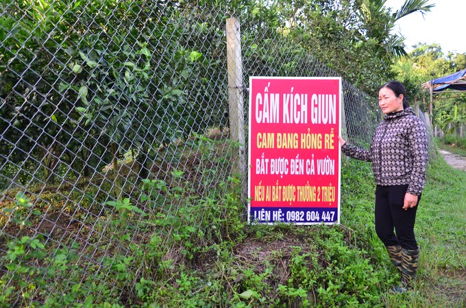 'Đau đầu' nạn kích điện giun đất ở nhiều địa phương