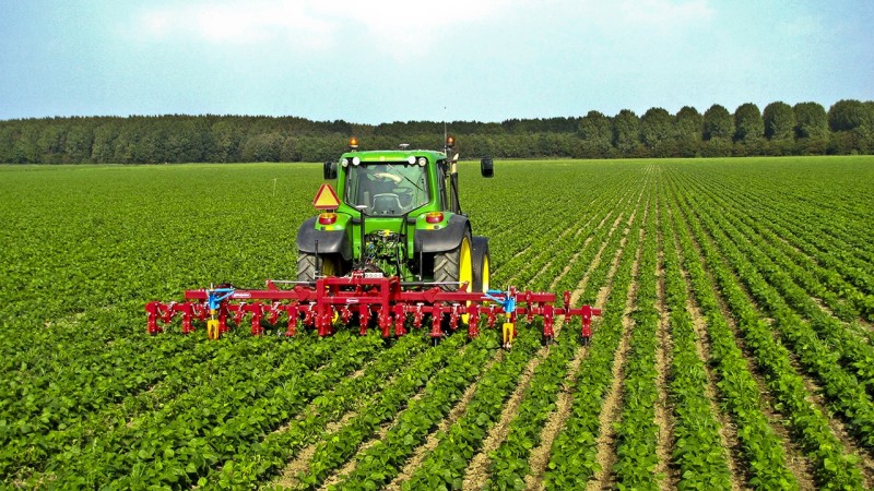 Việt Nam hiện đang vận hành chính sách nào về phát triển nông nghiệp bền vững?