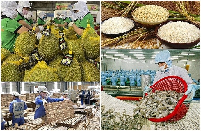 Xuất khẩu nông, lâm, thủy sản đem về hơn 38 tỷ USD sau 9 tháng