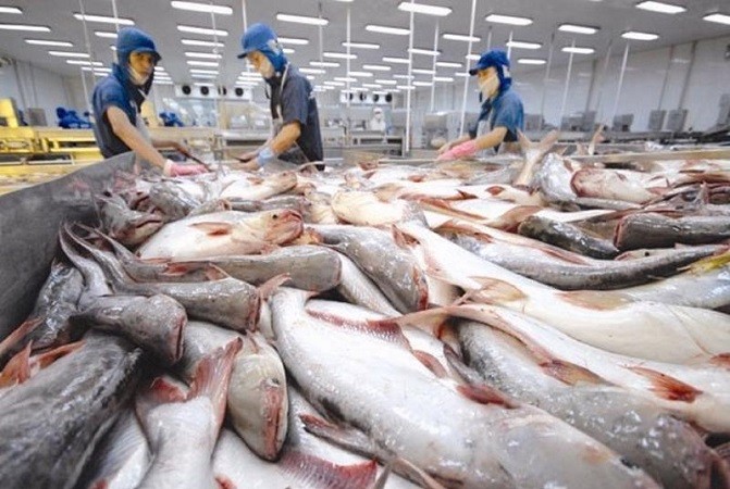Thị trường hồi phục, xuất khẩu cá tra hướng đến mục tiêu 1,77 tỷ USD