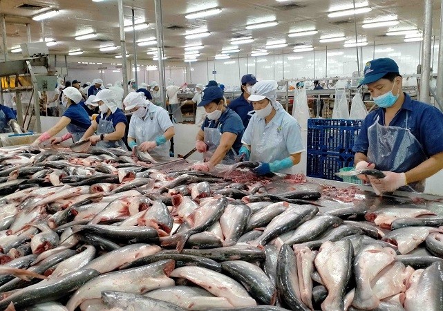 Khối thị trường CPTPP chiếm 27% xuất khẩu thủy sản của Việt Nam