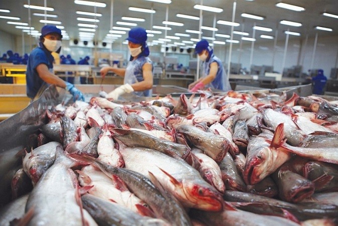 Xuất khẩu thuỷ sản khởi sắc, thu về 1,3 tỷ USD trong 2 tháng đầu năm