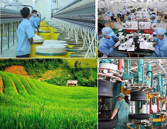 ADB giữ nguyên dự báo tăng trưởng kinh tế Việt Nam năm 2024 là 6%