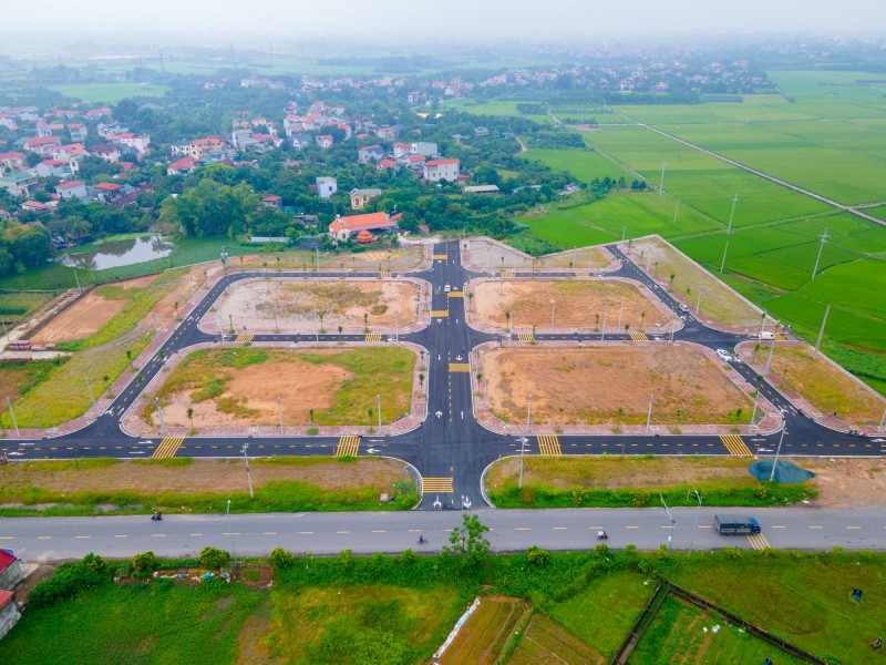 Đấu giá đất ở Phúc Thọ hút hơn 350 người tham gia