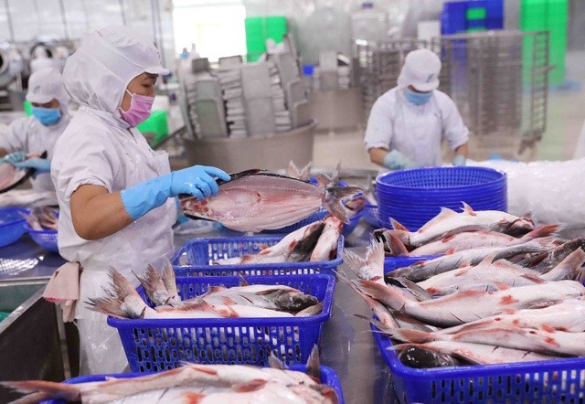 Xuất khẩu thủy sản sẽ vượt mốc 10 tỷ USD, tiến tới 11 tỷ USD trong năm 2025