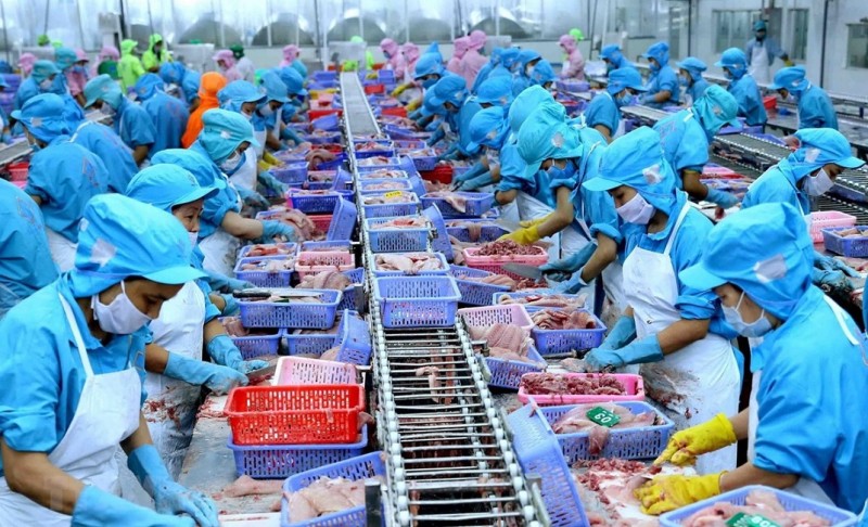Doanh nghiệp thủy sản tăng tốc trước rào cản thuế từ Mỹ
