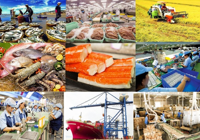 Hà Nội thúc đẩy sản xuất và tiêu dùng bền vững gắn với phát triển kinh tế xanh