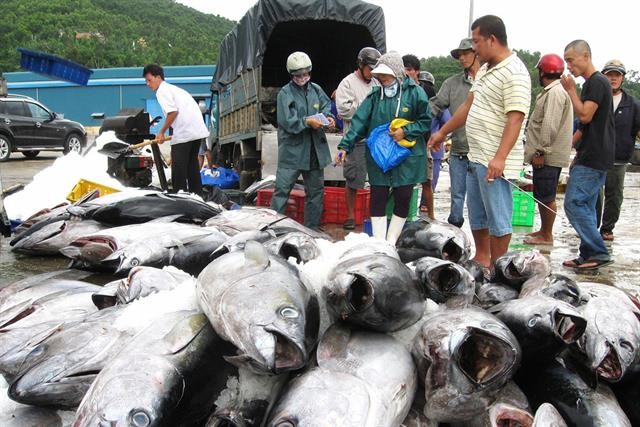 Năm 2026 ngành thủy sản Việt Nam sẽ phải đối mặt “cú sốc” MMPA