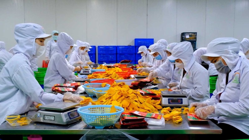 Xuất khẩu nông, lâm, thủy sản vượt kỷ lục năm 2024