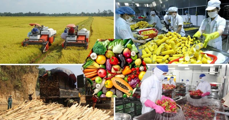 Xuất khẩu nông sản 2 tháng tăng trưởng 17,1%, đạt 11,3 tỷ USD