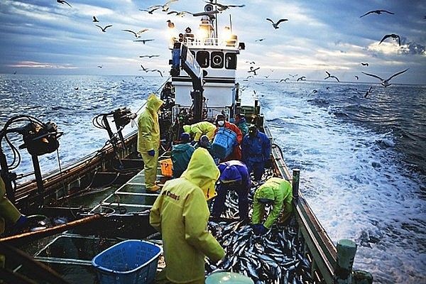 Hạ tầng: “Chìa khóa mềm” gỡ thẻ vàng IUU