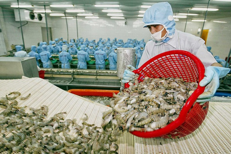 Quy định mới về bao bì và rác thải bao bì của EU các doanh nghiệp xuất khẩu thủy sản cần nắm rõ