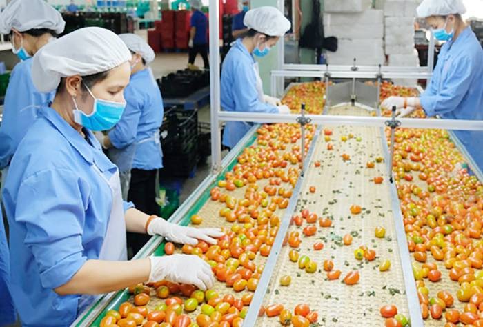 Xuất khẩu nông lâm thủy sản bứt tốc mạnh mẽ, đạt gần 17 tỷ USD