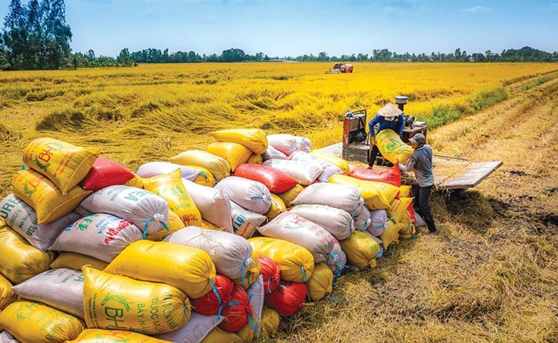 Giải pháp thúc đẩy xuất khẩu gạo, góp phần tăng trưởng 2 con số