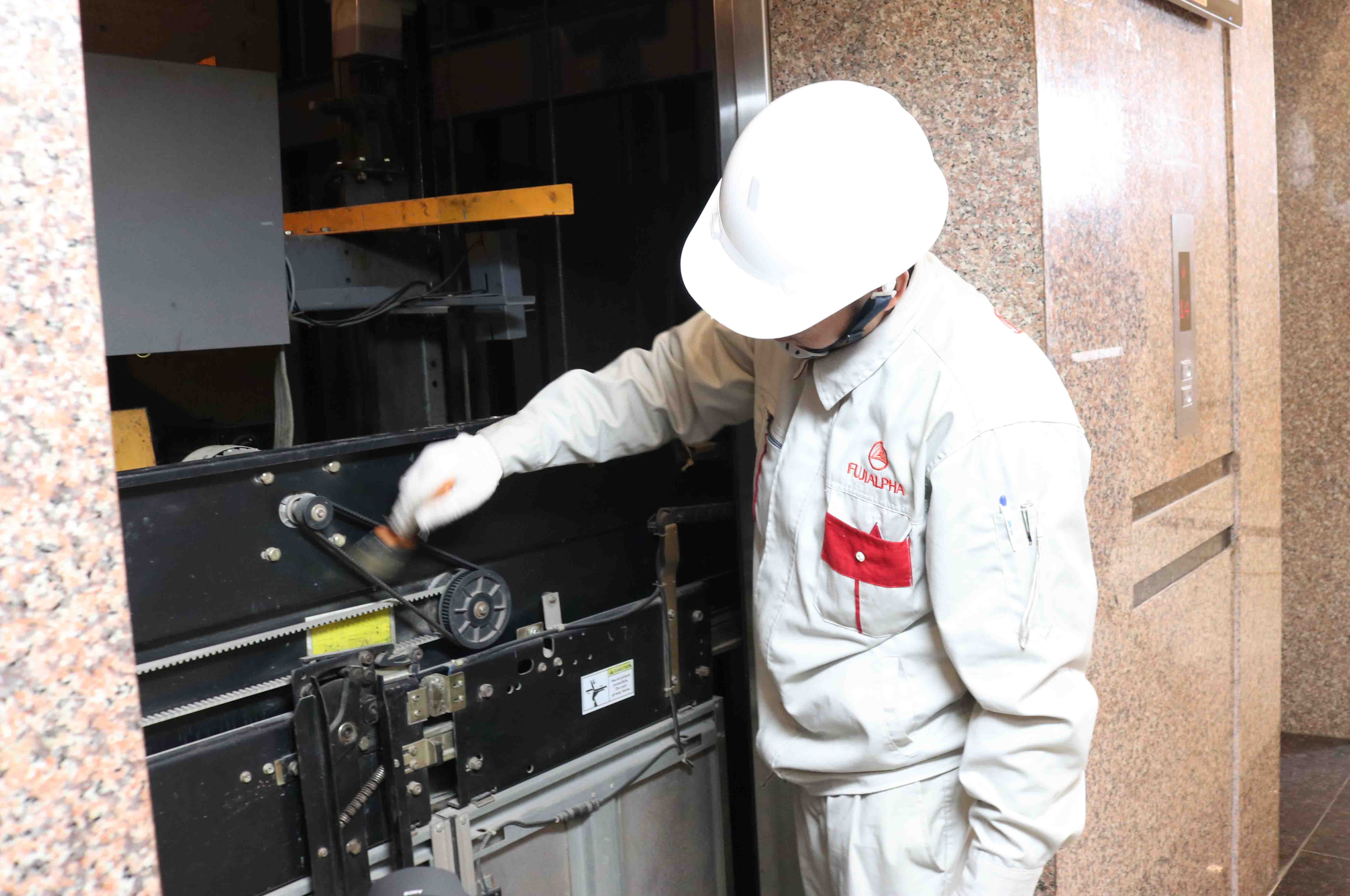 Chiến lược thang máy "quốc dân" dành cho gia đình Việt