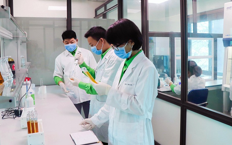 Thúc đẩy tăng năng suất dựa trên đổi mới sáng tạo