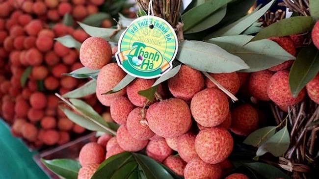 Vải thiều Thanh Hà có giá gần 600.000 đồng/kg tại siêu thị Australia
