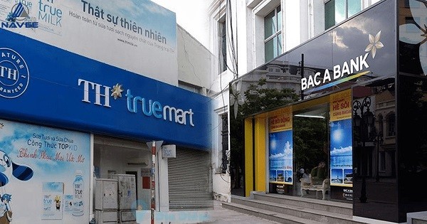 Duyên nợ giữa Bac A Bank và TH Group