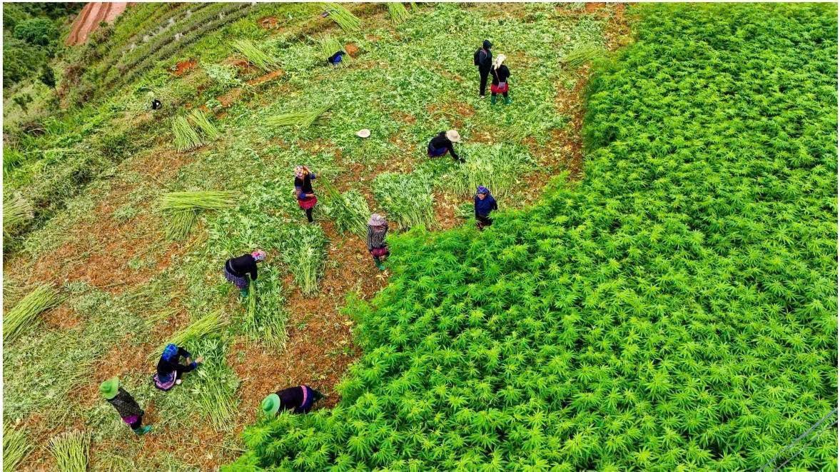Thi đua, sáng tạo, thực hiện hiệu quả các cuộc vận động lớn và phong trào thi đua yêu nước