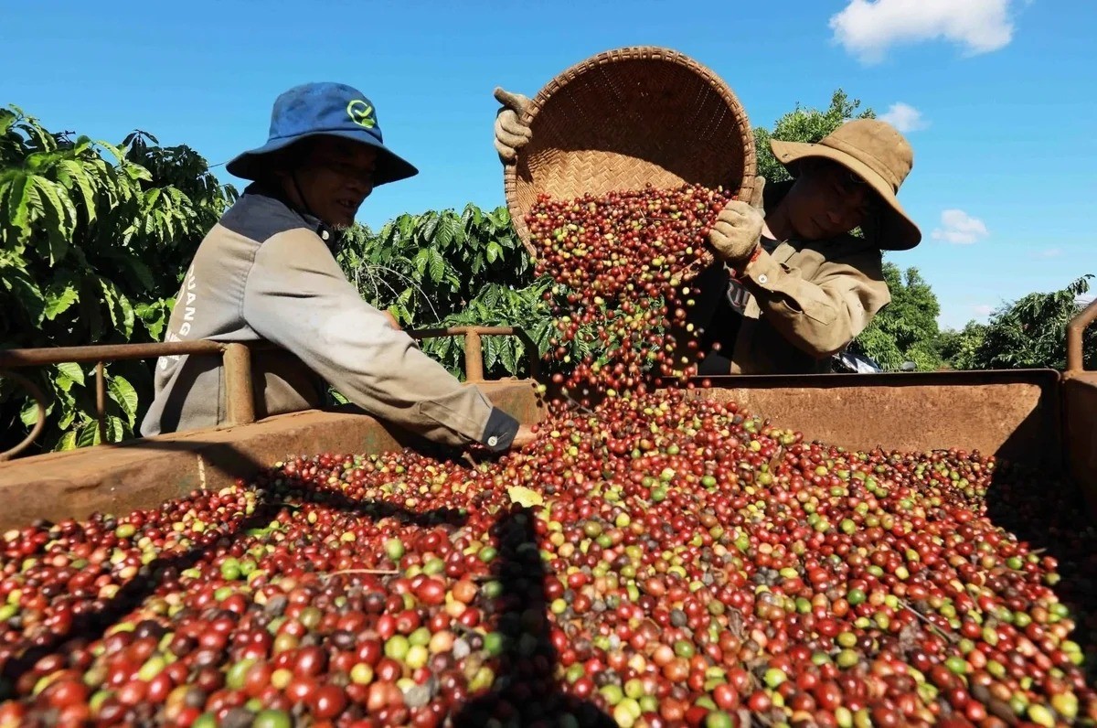 Chậm nhất 15/7, trình Chính phủ Nghị quyết tháo gỡ "điểm nghẽn" xuất khẩu nông sản