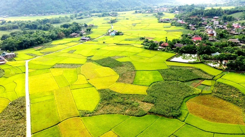 Khám phá "Làng du lịch tốt nhất" Lâm Thượng, Lào Cai