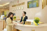 7 nhà đầu tư dự mua 100 triệu cổ phiếu riêng lẻ của Nam A Bank