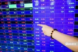 Sao Thăng Long có cổ đông lớn mới