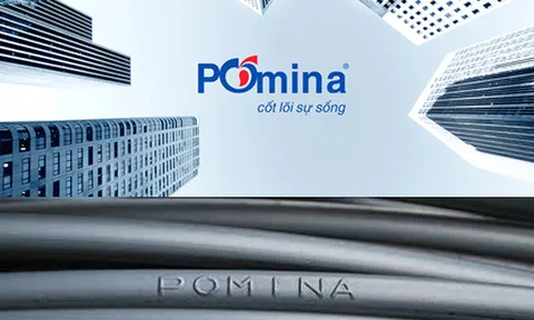 Pomina triệu tập họp cổ đông bất thường, bàn phương án tái cấu trúc