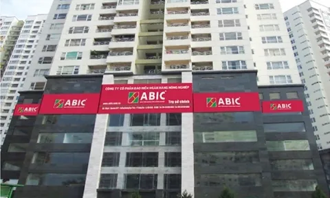ABIC: Tiền gửi tập trung tại Agribank, khoản phải thu tăng gần gấp đôi