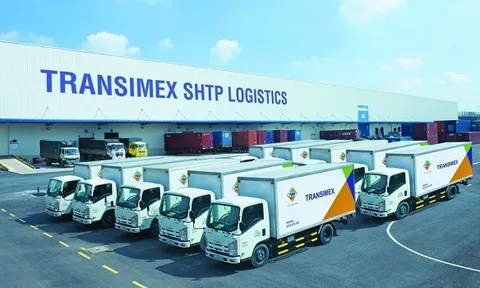 Transimex gom bất thành cổ phiếu công ty con