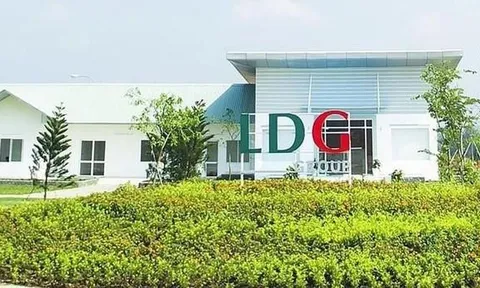 LDG đang đàm phán loạt dự án lớn